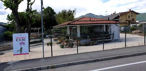 Fiorista Margherita, Fiorista a Gorlago