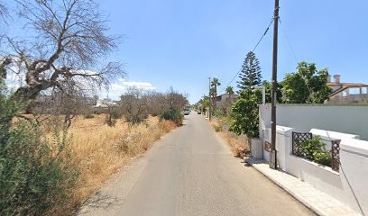 Theapulianflowers, Fiorista a Racale