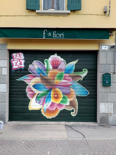 F Di Fiori, Fiorista a Minerbio