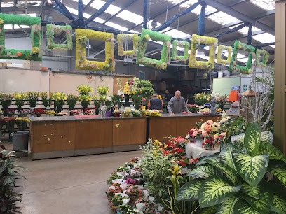 VitalFlor Vitale, Fiorista a Palermo