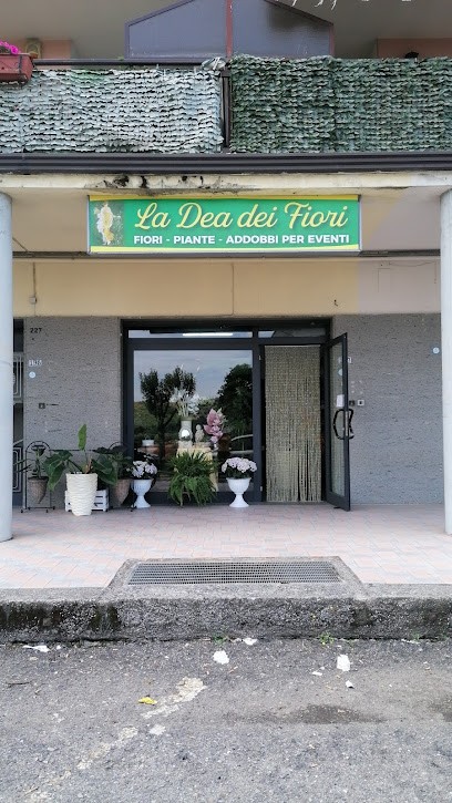 La Dea Dei Fiori, Fiorista a Taverna