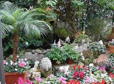 Fioreria Arcobaleno, Fiorista a Serramazzoni