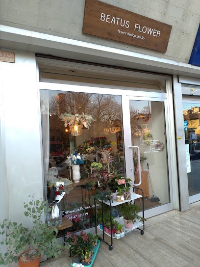 Beatus Flower, Fiorista a Segrate