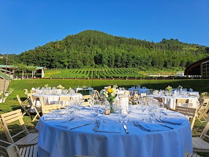 Fioreria Il Tulipano, Fiorista a Forlì