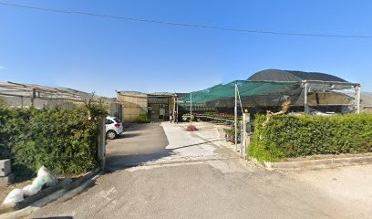 La Perenne Flor Snc, Fiorista a Sabaudia