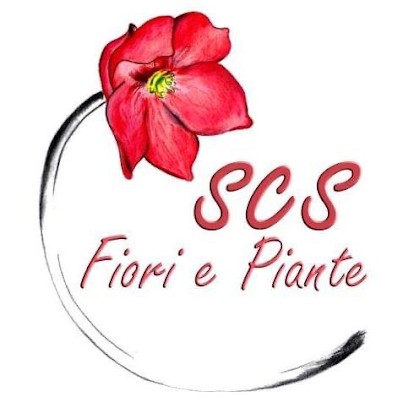 SCS Fiori e Piante, Fiorista a Fresagrandinaria