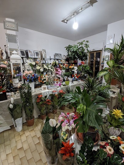 Arenga Maria Antonella, Fiorista a Tursi