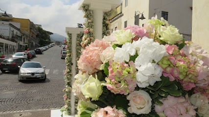 Accardo Vincenzo, Fiorista a Pollena Trocchia