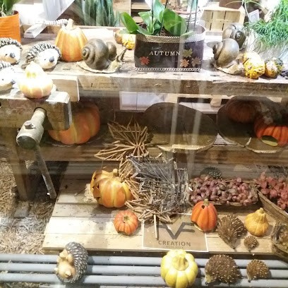 Fioreria Visentin Snc, Fiorista a Riese Pio X