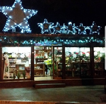 Arcobaleno, Fiorista a Terlizzi