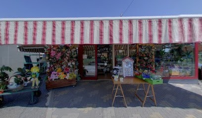 Petite Fleur, Fiorista a Druento