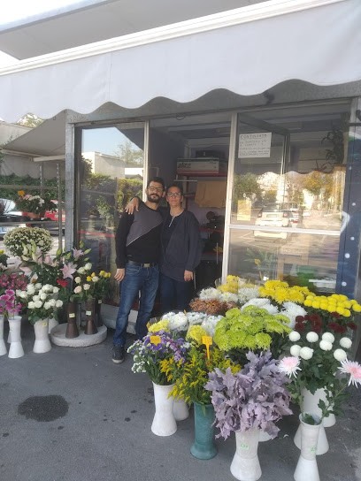 Fioreria Fornelli Michele, Fiorista a Padova