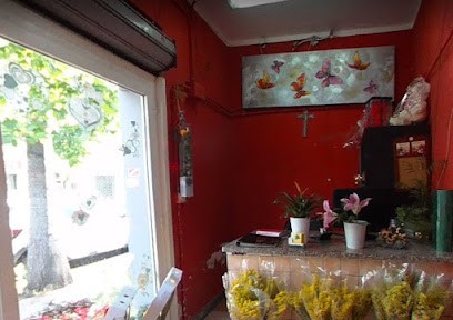 Piante & Fiori, Fiorista a Tivoli