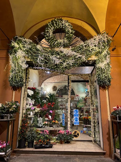 Fioreria Quadri Bologna, Fiorista a Bologna