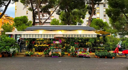 Sperlinga Fiori, Fiorista a Palermo