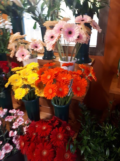 La Margherita Di Fistani Walter, Fiorista a Noale