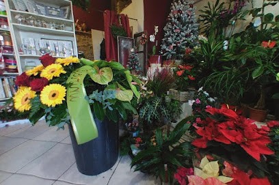 Il Quadrifoglio, Fiorista a Narni