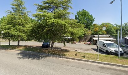 Il Folletto dei Fiori, Fiorista a Ceccano