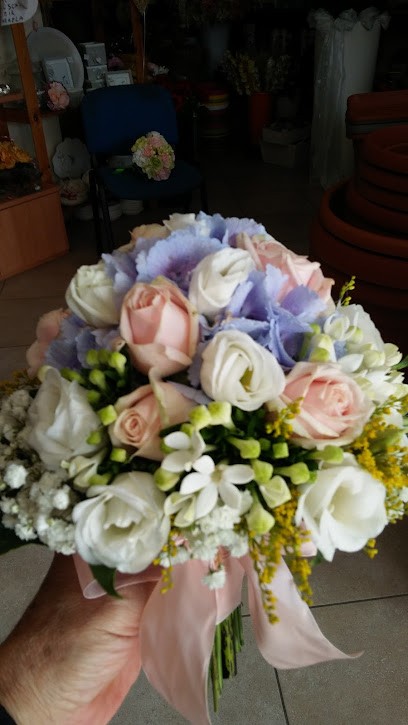 Old Garden Di Menna Alba, Fiorista a Foggia