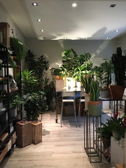 Verdefiorito, Fiorista a Almè