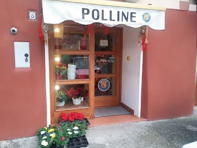 POLLINE piante e fiori - di Giammarco Sonia, Fiorista a Introdacqua