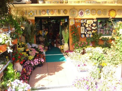 Asso di Fiori di Sberna Chiara, Fiorista a Anzio