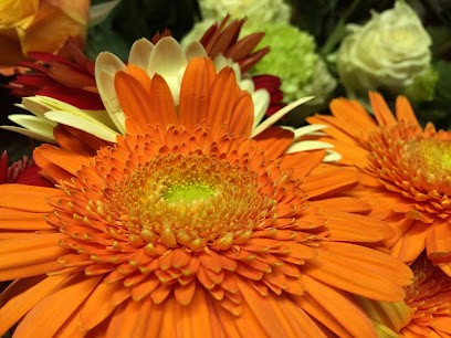 Fiori Piera Di Tedesco Piera, Fiorista a Carmagnola