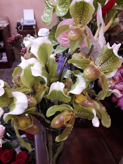 La Primula Di Gilberti Marilena, Fiorista a Cazzago San Martino