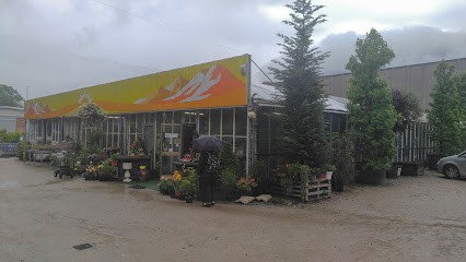 Flor Center, Fiorista a Baveno