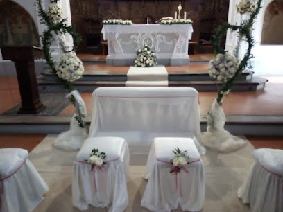 Fiori e Piante Pennella di Bellusci Angela, Fiorista a Senise