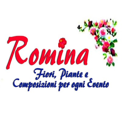 Fiorista Romina, Fiorista a Montignoso