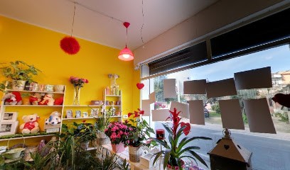 M'ama O Non M'ama Villaputzu, Fiorista a Villaputzu