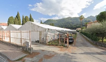 Chionetti Piante Grasse, Fiorista a Camporosso