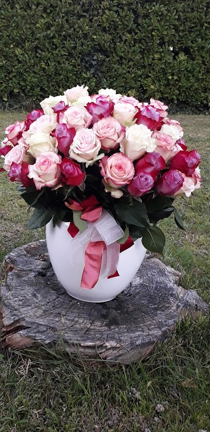 Fioreria San Giuseppe Di Tolusso Katiuscia, Fiorista a Fiume Veneto