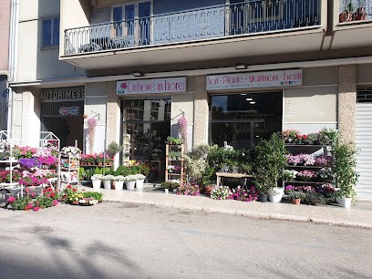FLOWER IN FLOWER Foggia, Fiorista a Foggia