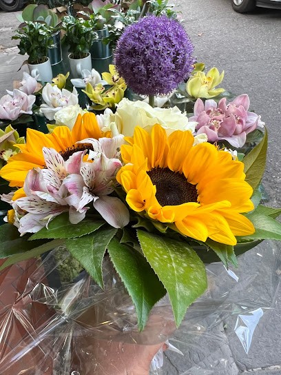 Girasole Di Palumbo Silvio, Fiorista a Firenze