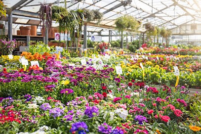 Floricoltura Giacchè, Fiorista a Castelfidardo