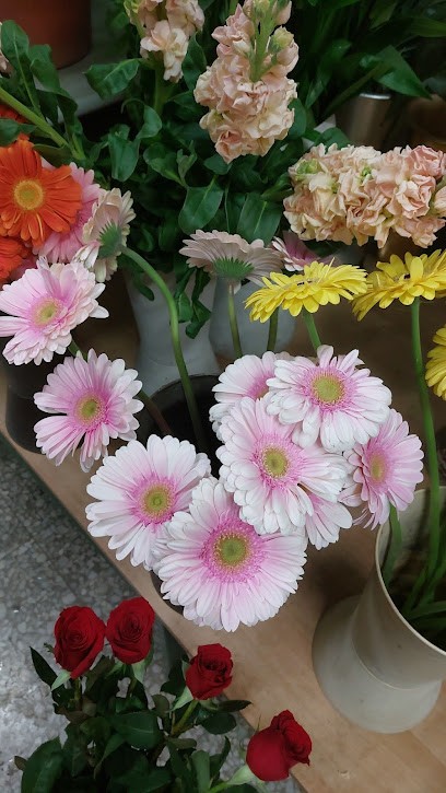 Campo Palma, Fiorista a Taranto