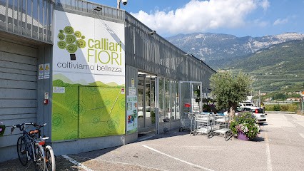 Calliari Fiori, Fiorista a Volano
