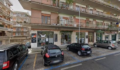 L'Orchidea Di Lonito Albina, Fiorista a Cassino