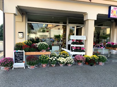 Fioreria Maya, Fiorista a Vazzola