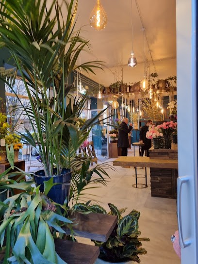 Roserosse, Fiorista a Viterbo