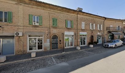 Afrodite Di Eleuteri Angela, Fiorista a Fermo