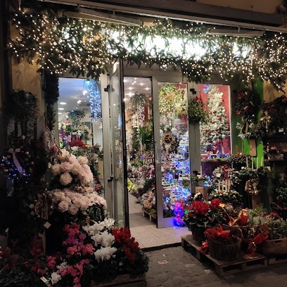 I Girasoli Fiori Ed Oggetti, Fiorista a Rimini