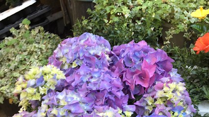 Carlessi Gianfranca, Fiorista a Vimercate