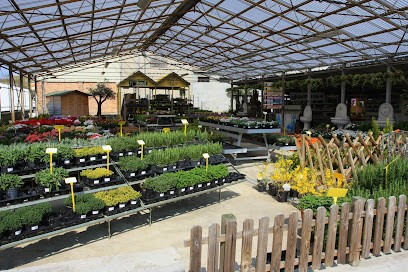 Floricoltura Green House, Fiorista a Vercelli