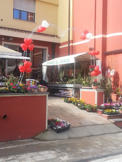Siamo Al Verde, Fiorista a Nuoro