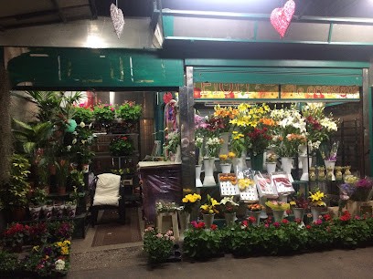 Fiori E Piante Di Sukhi, Fiorista a Roma