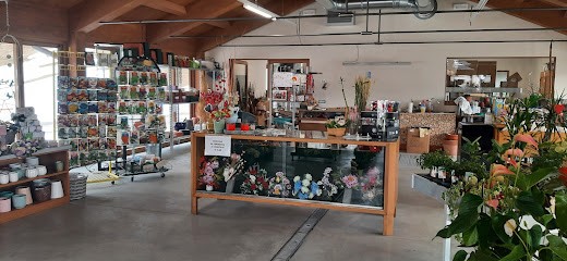 Planta & Fior, Fiorista a Livigno