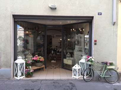 Fiori E Vento Di Ossi Ariella, Fiorista a Trieste